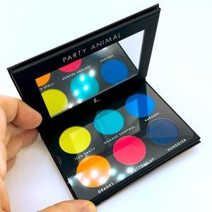 Pressed Pigment Palette